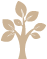 植物應(yīng)用