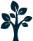 植物應(yīng)用